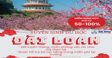 Du Học Đài Loan: Cơ Hội Học Tập và Lập Nghiệp Tại Một Quốc Gia Đầy Hứa Hẹn