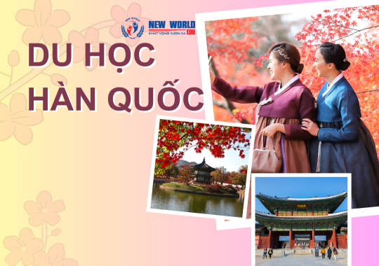 Du Học Hàn Quốc: Lựa Chọn Trường Đại Học Học Phí Rẻ Nhất Ở Seoul Cho Du Học Sinh