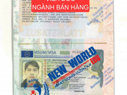 Visa trúng tuyển